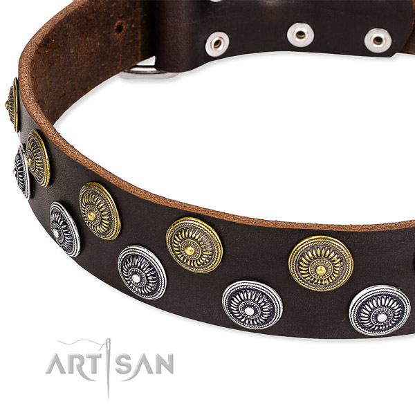 Genuine leather dog collar with incredible adornments