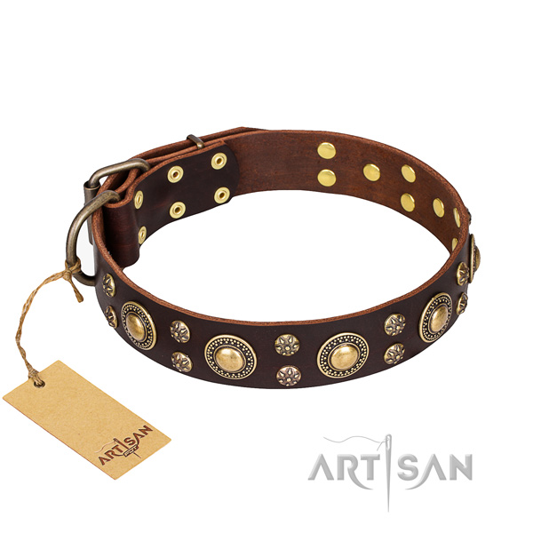 Remarkable genuine leather dog collar for walking