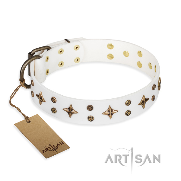 Remarkable leather dog collar for handy use
