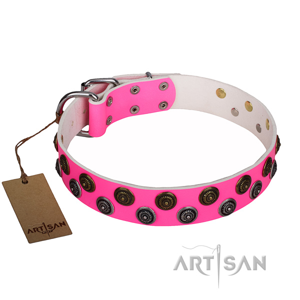 Extraordinary full grain leather dog collar for stylish walking