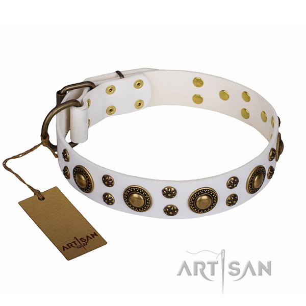 Exceptional full grain genuine leather dog collar for daily walking