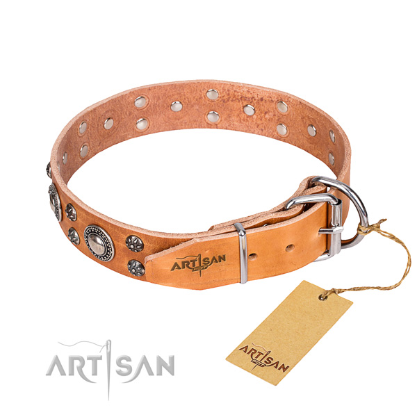 Everyday use full grain genuine leather collar with studs for your four-legged friend