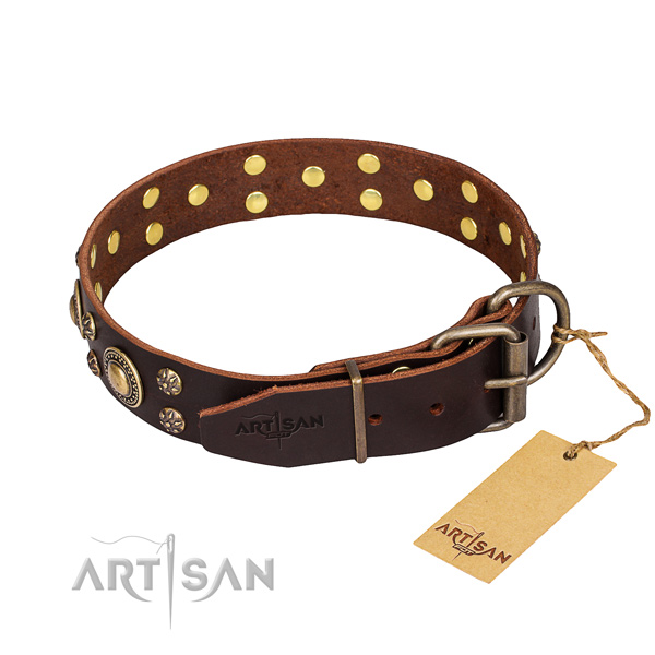 Everyday use natural genuine leather collar with embellishments for your four-legged friend