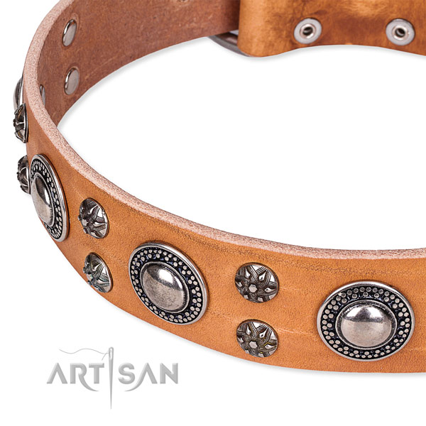 Everyday walking full grain natural leather collar with durable buckle and D-ring