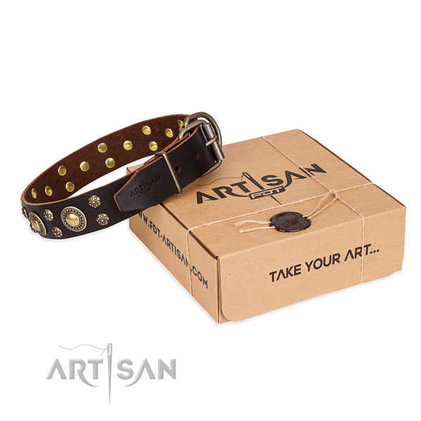 Stylish full grain genuine leather dog collar for walking