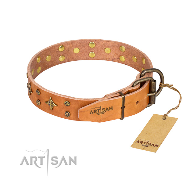 Daily walking full grain leather collar with decorations for your canine