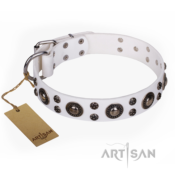 Fashionable full grain leather dog collar for everyday use