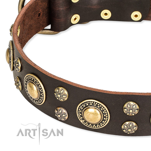 Handy use full grain natural leather collar with corrosion resistant buckle and D-ring