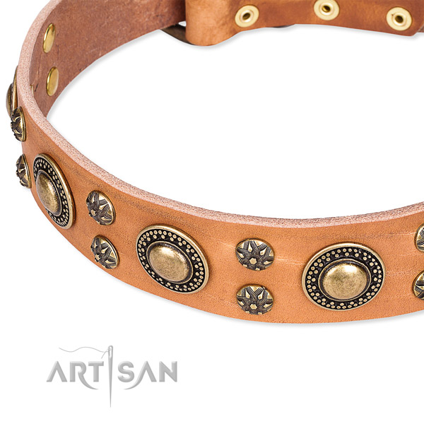 Leather dog collar with trendy adornments