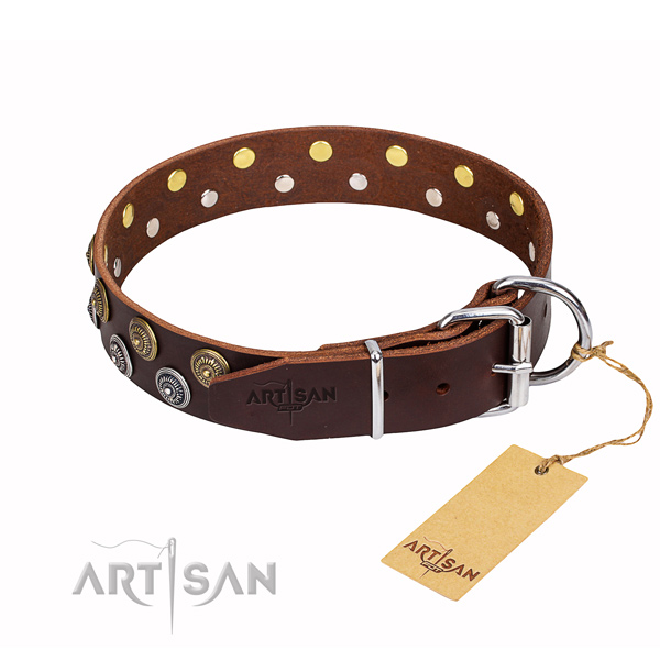 Everyday use full grain natural leather collar with decorations for your four-legged friend