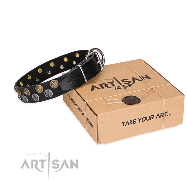 Full grain leather dog collar with decorations for everyday use