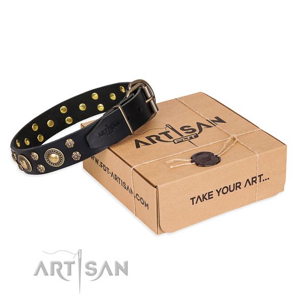 Perfect fit full grain genuine leather dog collar for walking in style