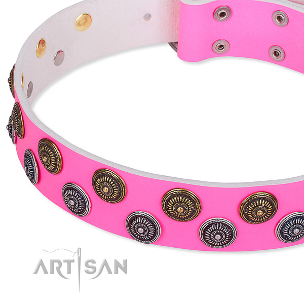 Full grain leather dog collar with awesome decorations