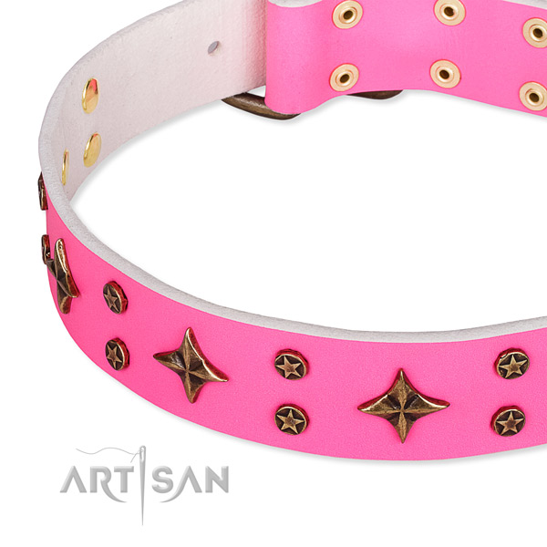 Full grain natural leather dog collar with trendy embellishments