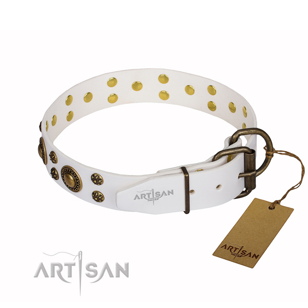 Daily use full grain genuine leather collar with embellishments for your four-legged friend