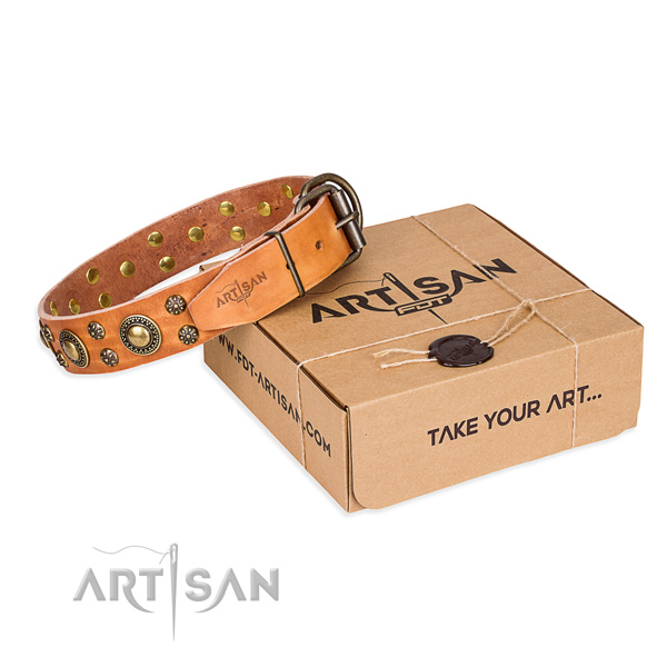 Leather dog collar with embellishments for handy use