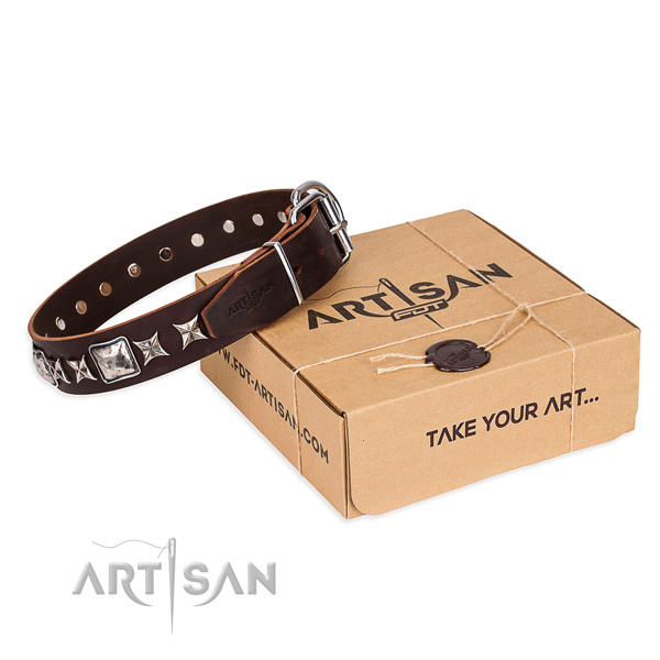 Embellished full grain natural leather dog collar for stylish walking