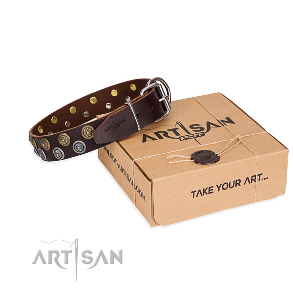 Full grain natural leather dog collar with adornments for walking