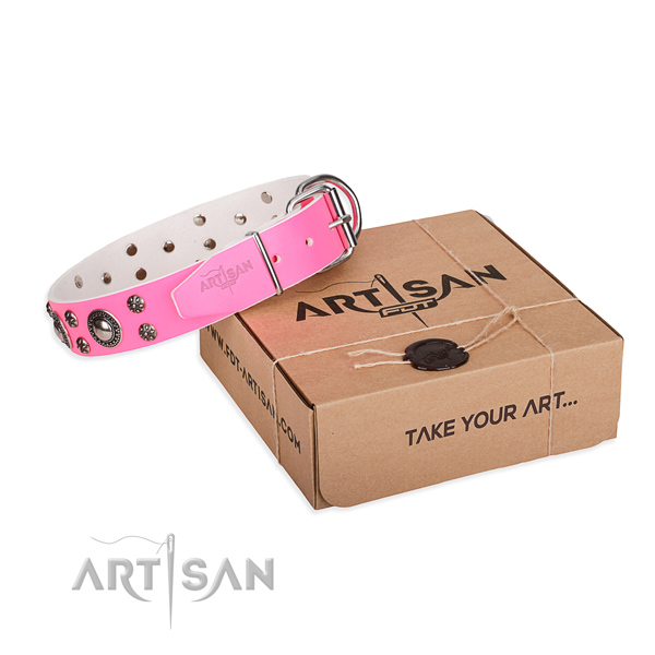 Trendy natural genuine leather dog collar for everyday use