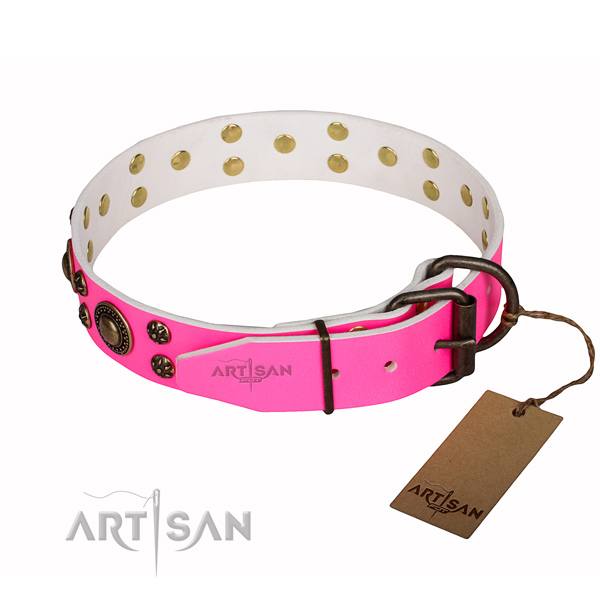 Significant natural genuine leather dog collar for walking
