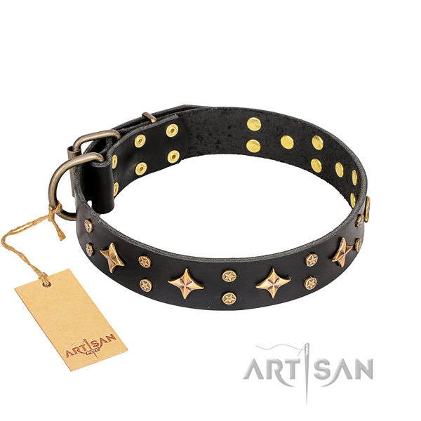 Unusual full grain natural leather dog collar for everyday walking