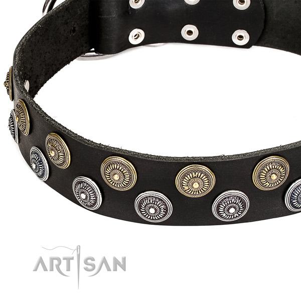 Natural genuine leather dog collar with significant embellishments