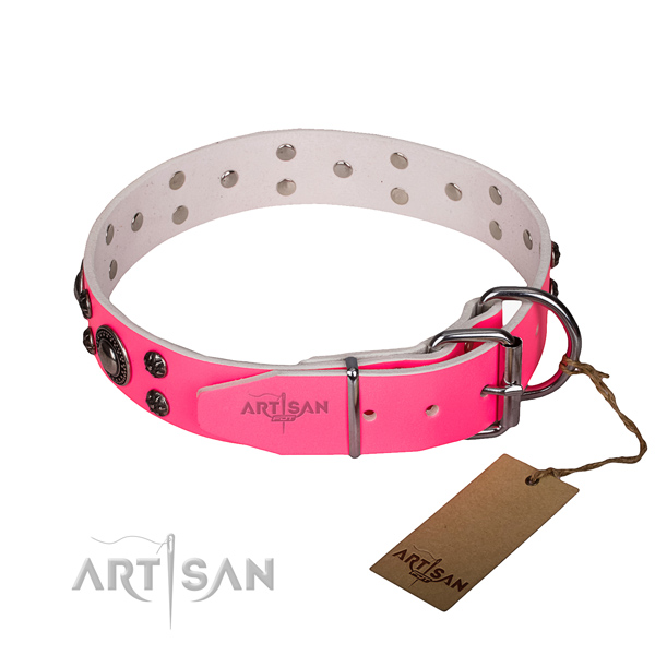 Everyday use leather collar with rust resistant buckle and D-ring