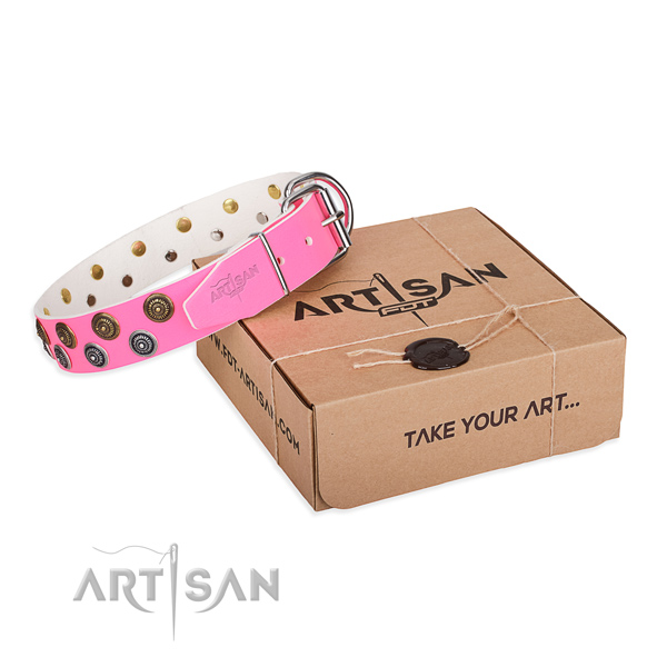 Decorated genuine leather dog collar for daily walking