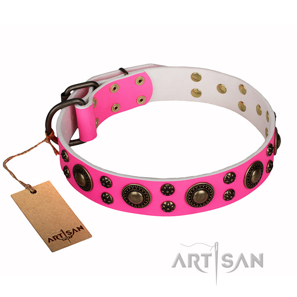 Daily walking full grain leather collar with decorations for your dog