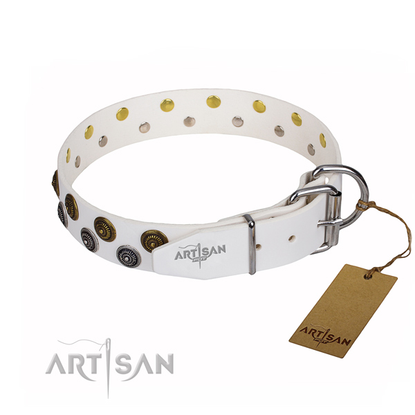 Everyday use full grain leather collar with embellishments for your doggie