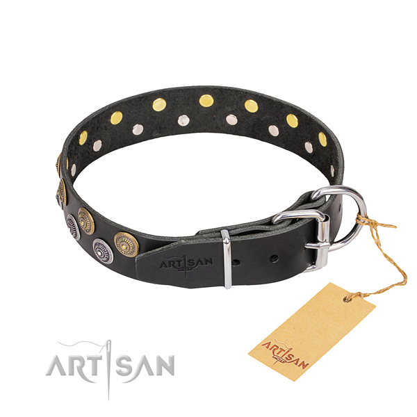 Everyday walking full grain genuine leather collar with adornments for your pet