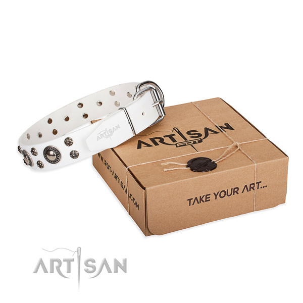 Incredible full grain leather dog collar for daily walking