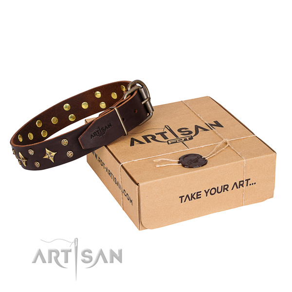 Studded leather dog collar for stylish walking