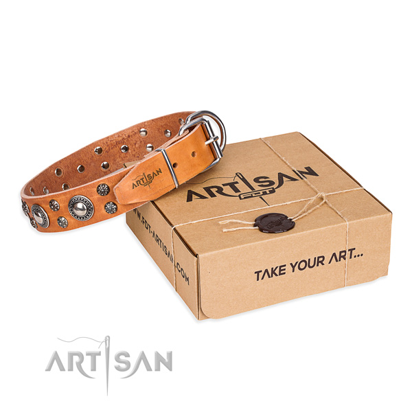 Stylish genuine leather dog collar for daily use