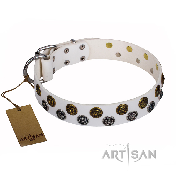 Exceptional leather dog collar for stylish walking