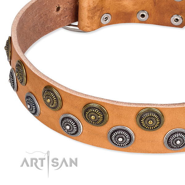 Quick to fasten leather dog collar with extra sturdy chrome plated buckle and D-ring