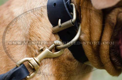 Leather Dog Collar with Strong Large Ring for Leash Hook Up