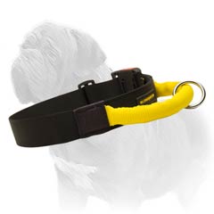 High quality nylon collar