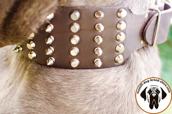 Stylish leather Mastino Napoletano collar with 5 rows of spikes and pyramids