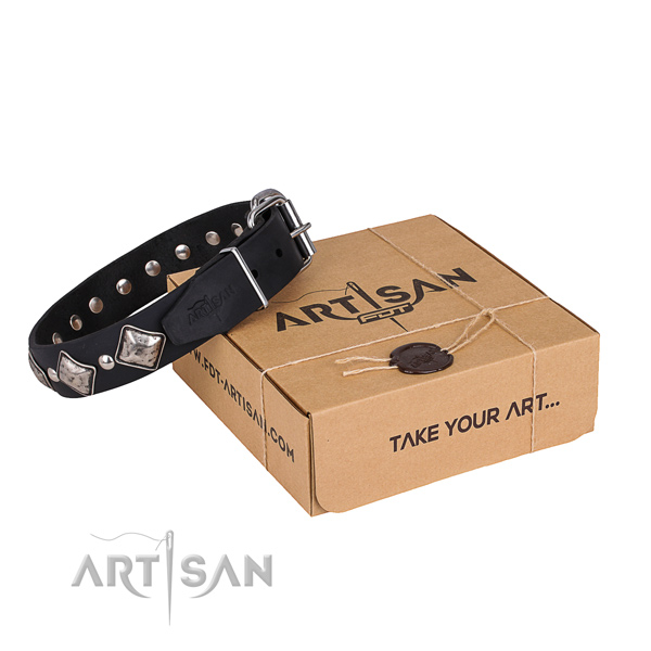 Everyday leather dog collar with astounding embellishments