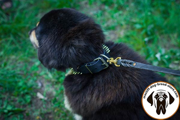 Fashion leather dog collar for Mastiff with brass hardware