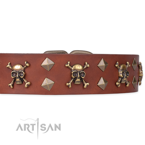 Best quality leather dog collar for reliable use