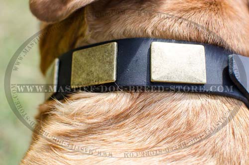 High Quality Leather Canine Collar for Mastiffs