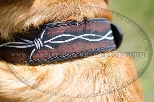 High Quality Leather Canine Collar for Walking and Training