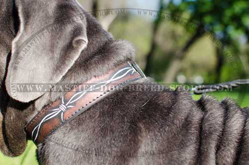 Excellent Training and Walking leather Collar for Mastiffs