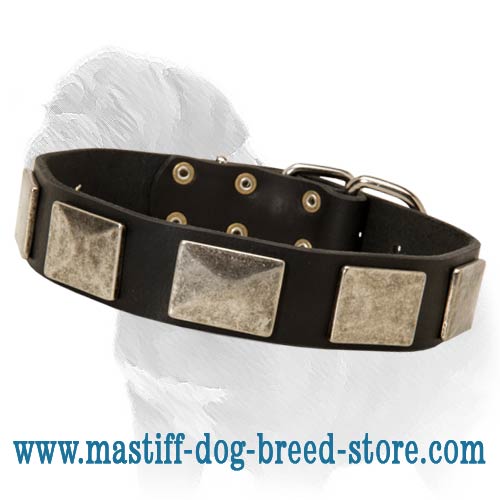 Tantalum  mastiff dog collar handmade