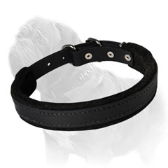 Your dog's protection from rubbing or irritation during walks or training