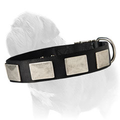 Easy washable dog collar for handling your Mastiff