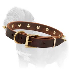 Brown Mastiff Collar with Brass Spikes