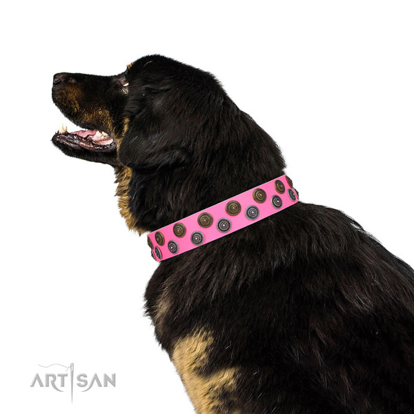Mastiff remarkable full grain genuine leather dog collar for walking